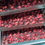 8 Tray Vacuum Freeze Dryer Vacuum Food Dryer Home 220 Volt