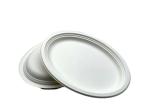 17g 10" Oval Biodegradable Sugarcane Bagasse Plates