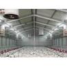 Buy cheap High Stable Prefabricated Light Steel Structure Farm Sheds Poultry House Building from wholesalers