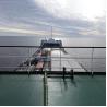 Buy cheap Container RORO Global Shipping Services From Shenzhen Logistics Company from wholesalers
