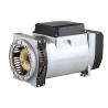 Buy cheap Italy Type Dynamo Alternator , High Power Alternator Brush Brushless from wholesalers