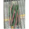 Buy cheap Single Extruding Line Pet Food Extrusion Equipment For Pet Food Dog Snacks Processing from wholesalers