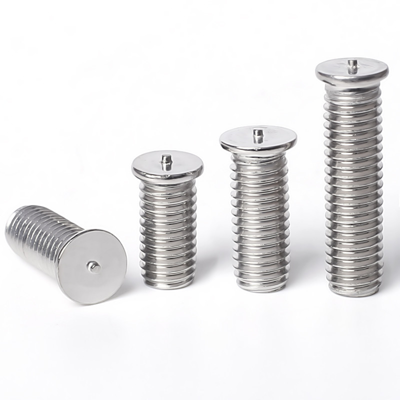 Rust Resistance Custom Made Stainless Steel Screw Heavy Duty