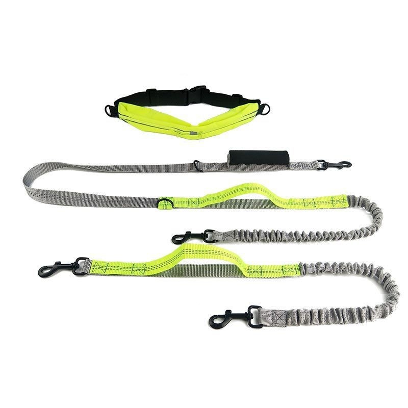  luxury dog leads 