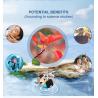 Buy cheap Fisetin 98% Food Grade 3rd Party Tested Fisetin Powder Work With Pterostilbene For Liposomes from wholesalers