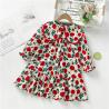 Buy cheap Spring Children'S Rose Dress Long Sleeved Girls Princess Dress from wholesalers