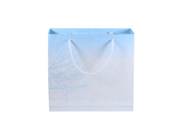 Buy cheap Exquisite Custom Printed Carrier Bags , Logo Paper Gift Bags With Handles from wholesalers