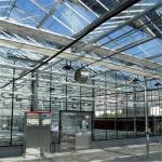 Turnkey Glass and Production Capability Cover Production Greenhouse for Vertical