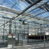 Buy cheap Turnkey Large Intelligent Glass Polycarbnate Board Tomato Greenhouse 1 Piece Min.Order from wholesalers