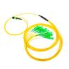 Buy cheap SM 8 12 24 48 Cores Fiber Optic Patch Cord Manufacturer SC - MPO Optical Fiber Jumper from wholesalers