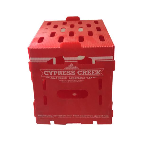 Buy cheap Velcro PP Hollow Box 5mm Corrugated Plastic Packing Box Turnover Red from wholesalers