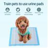 Buy cheap Pet Training Products Super Absorbent Leak-Proof Disposable Pad for Dogs Cats Animals from wholesalers