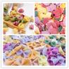 Buy cheap Automatic Farfalle Noodle / Flour Patches Making Machine 220 V from wholesalers