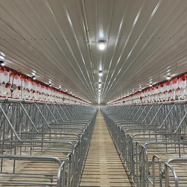 Buy cheap 2.5 - 30 Tons Silo Piggery Farm Equipment Swine Breeding Equipment ISO9001 from wholesalers