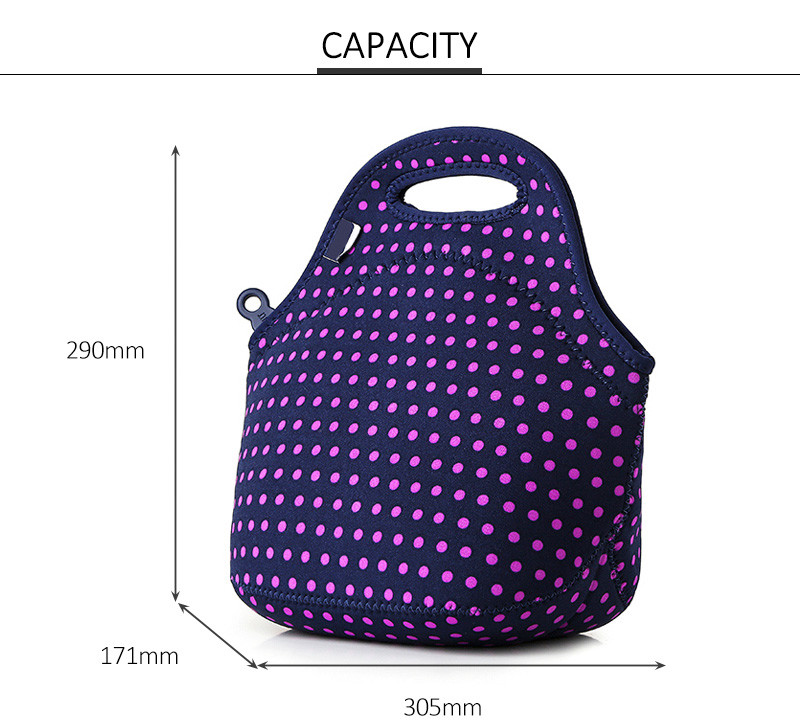 Women Reusable Waterproof Insulated Lunch Carry Bag