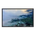 49 Inch Wall Mounted Non Touch Screen LCD Advertising Digital Signage Kiosk
