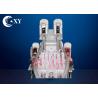 Buy cheap Cavi Lipolaser Body Face Rf Vacuum Cellulite Treatment Machine 4 Cryolipolysis Handles from wholesalers