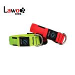 Customized LED USB Rechargeable Pet Dog Collar With Buckles Nylon Webbing