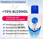 70ml Rinse Free Disposable Hand Sanitizer 75 Percent Alcohol Quick Drying