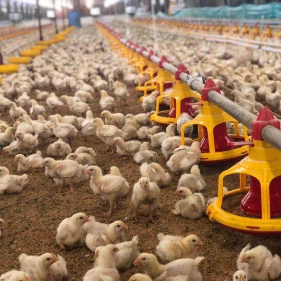 Buy cheap PVC Poultry Farm Equipment from wholesalers