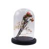 Buy cheap Glass Dome with Wooden Base Glass for candle Mini Cake Stand Glass Display Dome from wholesalers
