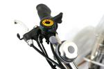 Perfect for Daily Electric Tricycle 250W 3 Wheel Bike With Basket EB01 20" Wheel