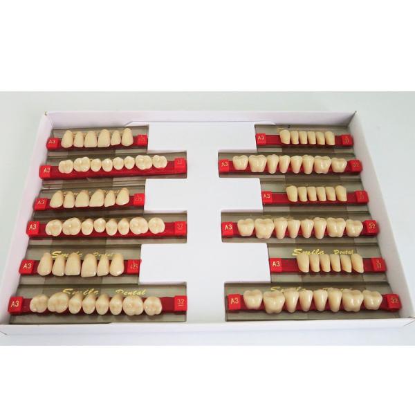 Heraeus Form Dental Acrylic Resin Teeth With VITA Shade High Strength Flexibilit