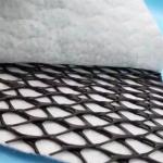 Length 50m Geocomposite Drainage Sheet 3d Composite Drainage Net 3d Geonet for T