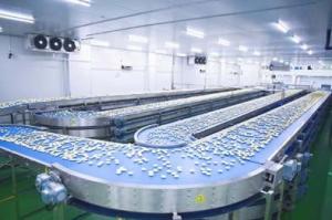 Wholesale ISO 9000 Hygienic Independent Controlled Curved Belt Conveyor from china suppliers