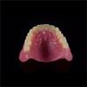 Buy cheap Removable Smile Full Acrylic Complete Denture Customizable from wholesalers