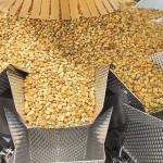 Automatic Bean Seed Nuts Candy Walnut Dried Fruit Food Snack Multi Head Weigher