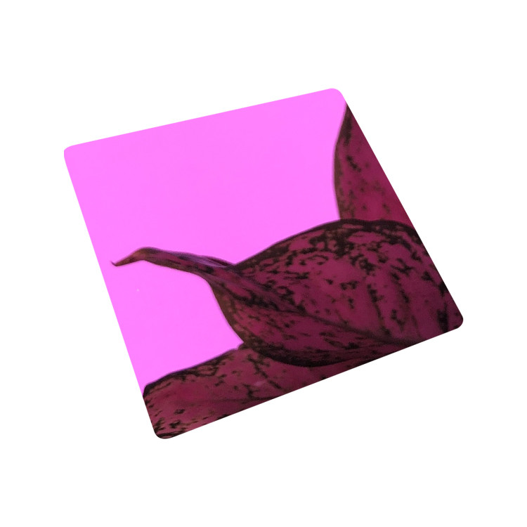 unique Mirror Polished Stainless Steel Sheet 304 316 SS Sheet Pink