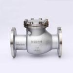Stainless Steel 304 DN40 Flanged Check Valve with Lift Design and ISO9001