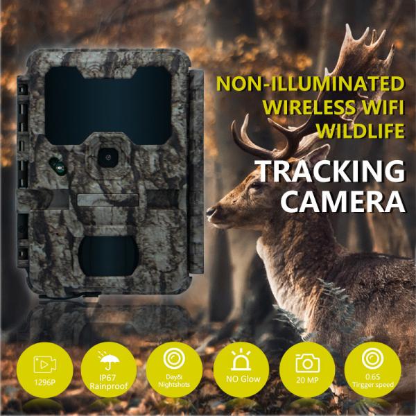 KW865 WIFI Hidden Camera Outdoor Wireless Hunting Camera IP67 20MP Trail Camera