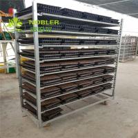 Buy cheap Greenhouse Flower Trolley Display product