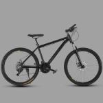 Customized ODM Road Bike 700C Ride with 27 Speed Gears Aluminum Alloy Steel