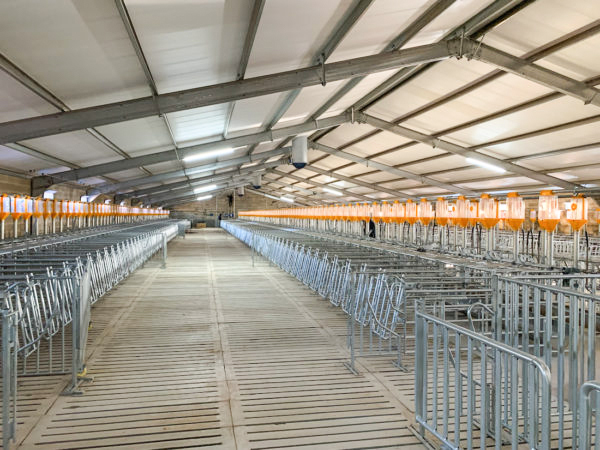 Long Span Grid Structure Q235/Q345 Low Carbon Steel Prefab Steel Structure Cow Shed