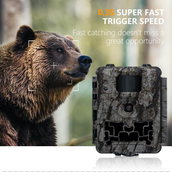 Cost Effective Hunting Camera KW561with Mini Size 30MP/1080P Waterproof IP67 up