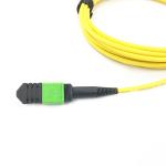 12F MPO To MPO Single Mode Patch Cord , Loss MPO Fiber Optic Patch Cord 3M