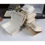Bagasse Sugarcane Food Container