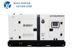 250 KVA AC 3 Phase Silent Diesel Generator 50HZ Frequency Brushless