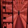 Buy cheap Multi-Span Agricultural Greenhouses Barley Breeding Room for Vegetable Fruits Flowers from wholesalers