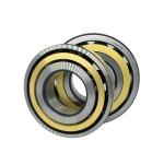 Axial Loads Double Agricultural Bearing Chrome Steel Fixed End Bearings