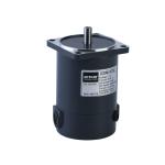 200W Brush Electric DC Motors CE High Speed Brushed Motor For Electric Vehicle