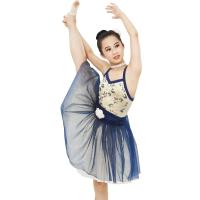 Buy cheap Ballet Dance Tutu Dress Competition Performance Wear Sweetheart Bodice Ballet product