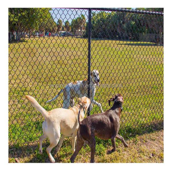Buy cheap Hot Dipped Galvanized PVC Coated Diamond Chainlink Fence for Pressure Treated Fencing from wholesalers