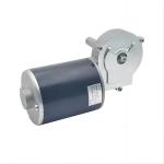 DC Gear motor 12-36v electric single phase motor 50-60w used for slow juicer