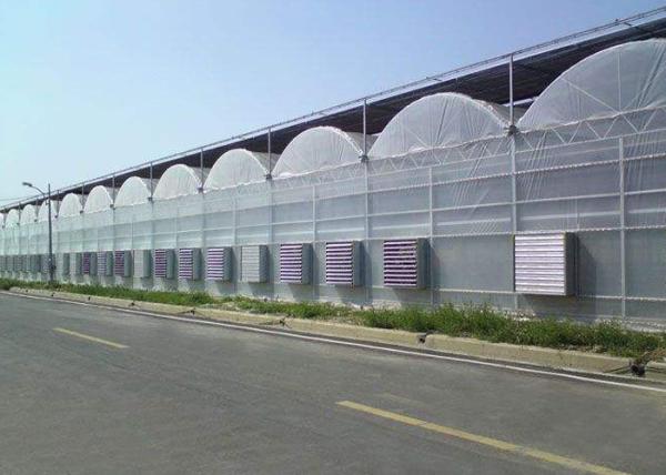Buy cheap Cooling Plastic Film Vegetable 10m Multi Span Greenhouse from wholesalers