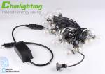 G40 2.4GHZ Wifi Commercial LED String Dimmable Smart Lights