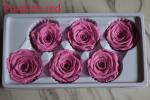 beautiful preserved rose flower A grade stabilized rose preserved long lasting